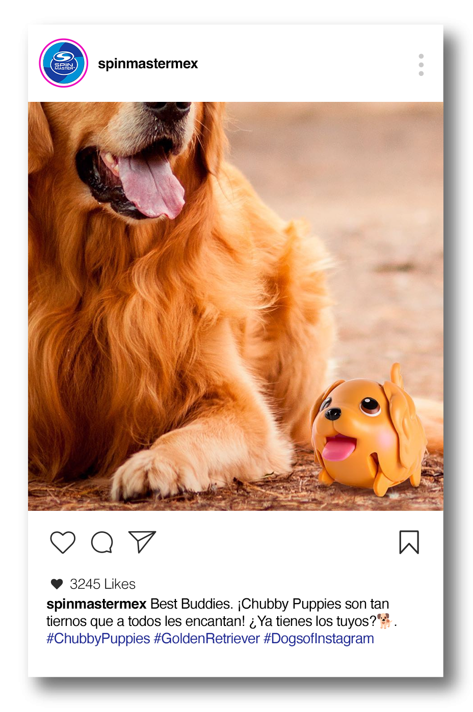 Chubby Puppies Golden Retriever